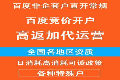 百度SEO推广策略：如何快速提升网站排名？——案例详解
